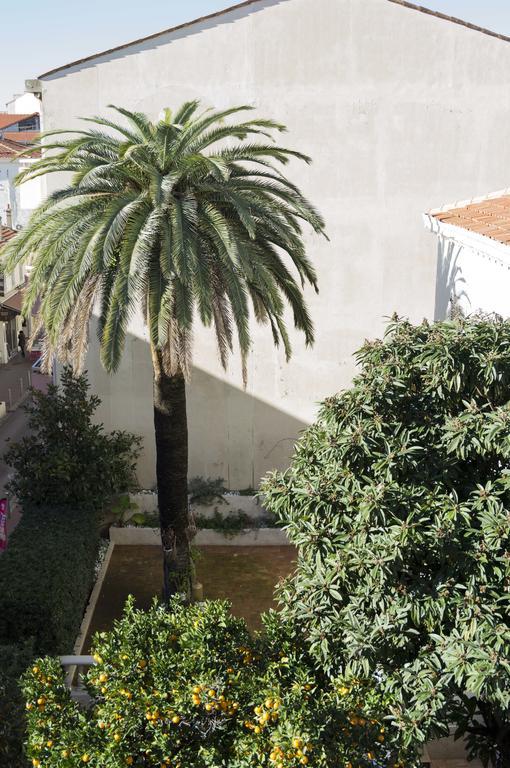 Appartement Cannes Rue Marceau Værelse billede